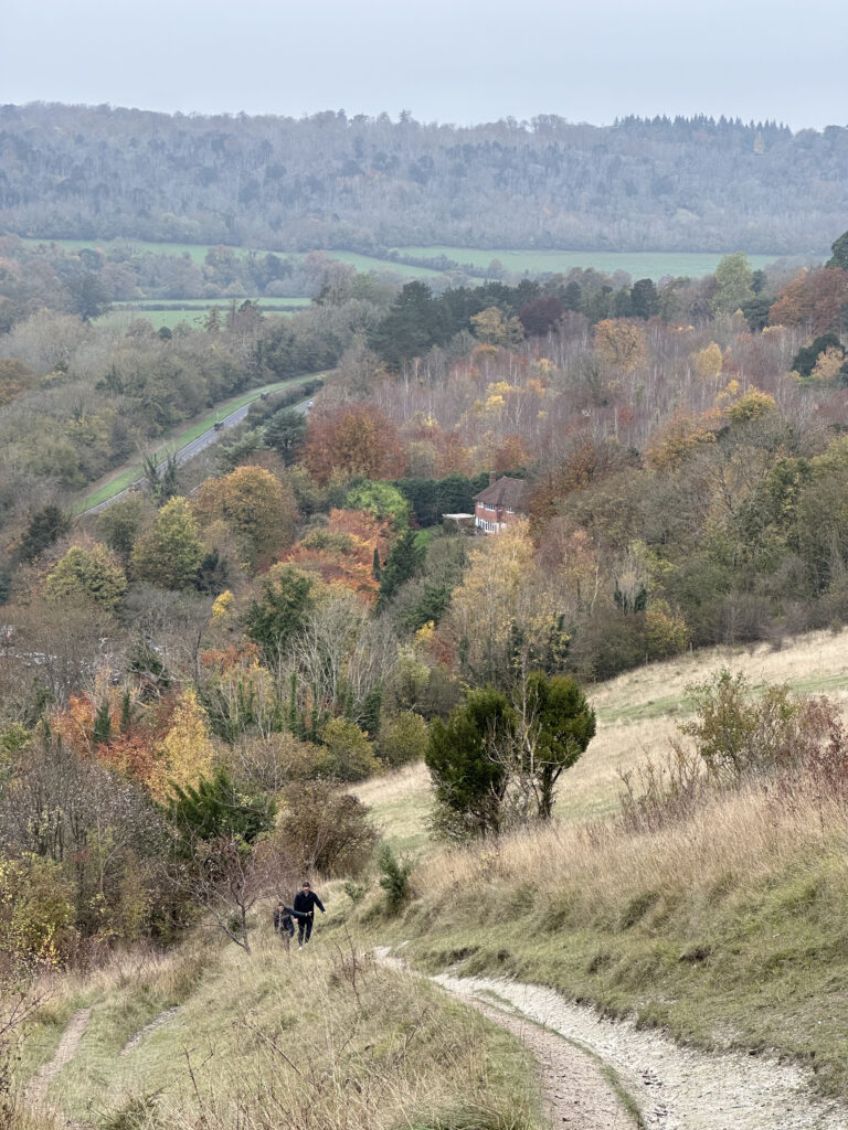 Box Hill, Surrey